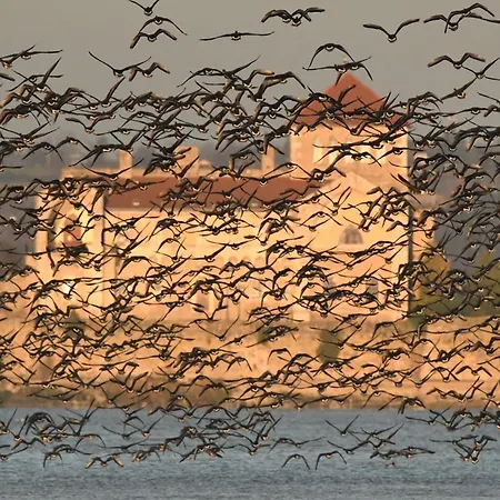 Kastélykert 3* Tata