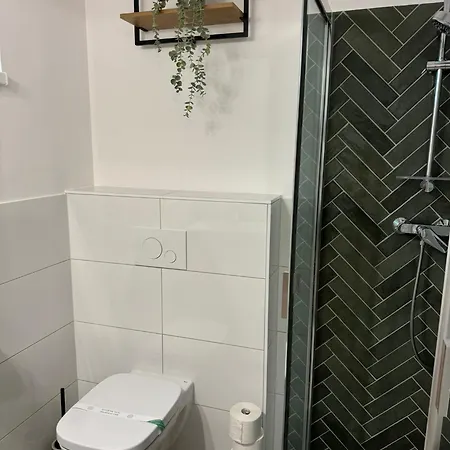 公寓式酒店 Kastelykert Vendeghaz 塔塔